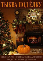 Пиво Tykva Pod Elku (Тыква под ёлку)