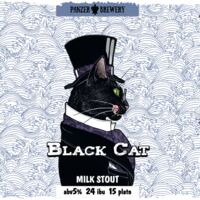 Пиво Black Cat Stout