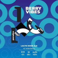 Пиво Berry Vibes