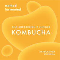 Пиво Method Fermented Kombucha W/ Sea Buckthorn & Ginger