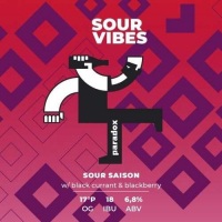 Пиво Sour Vibes