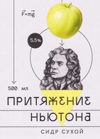 Пиво Притяжение Ньютона Сухой