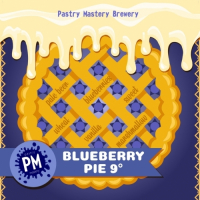 Пиво Blueberry Pie 9°