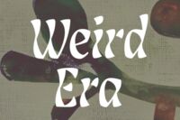 Пиво Weird Era (Blend #2)