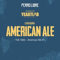 Пиво American Ale Пиво American Ale