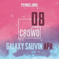 Пиво Crowd 08 Galaxy Sauvin APA Пиво Crowd 08 Galaxy Sauvin APA