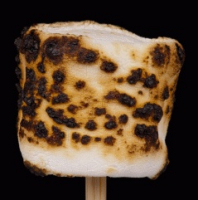 Пиво 10-In-A-Row (MVF Ed.)