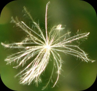 Пиво May.down(); / Bretts Ed.