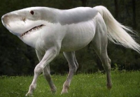 Пиво Меланж