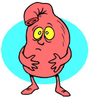 Пиво Sour Me Down