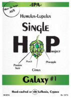 Пиво Single Hop IPA (Galaxy)