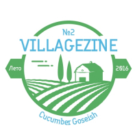 Пиво Villagezine #2 Cucumber Goseish
