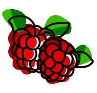 Пиво Taste the Berries (Малина)