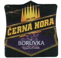 Пиво Borůvka / Blueberry