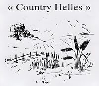 Пиво Country Helles