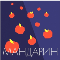 Пиво Мандариновый IPA