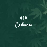 Пиво 420 Cashmere