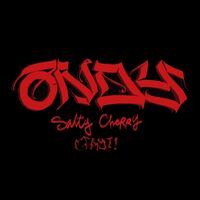 Пиво Andy Salty Cherry