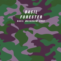 Пиво Basil Forester Пиво Basil Forester