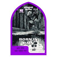 Пиво Born In Rain