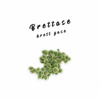 Пиво Brettose Пиво Brettose