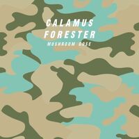 Пиво Calamus Forester Пиво Calamus Forester