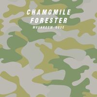 Пиво Chamomile Forester