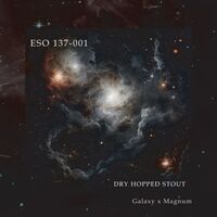 Пиво ESO 137-001
