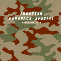 Пиво Forester Penapack Special Пиво Forester Penapack Special