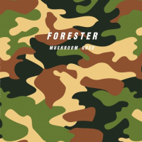 Пиво Forester Пиво Forester