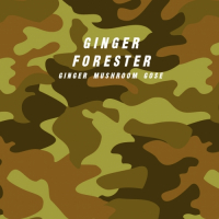 Пиво Ginger Forester Пиво Ginger Forester
