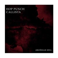 Пиво Hop Punch Callista