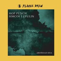 Пиво Hop Punch Simcoe Lupulin