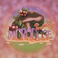Пиво Microdose