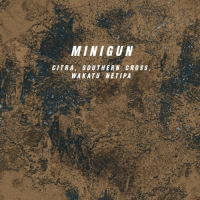 Пиво Minigun: Citra, Southern Cross, Wakatu