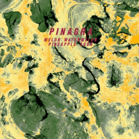 Пиво Pinagra