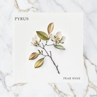 Пиво Pyrus Пиво Pyrus