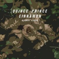 Пиво Quince Prince Cinnamon Пиво Quince Prince Cinnamon