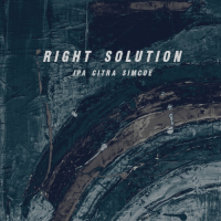 Пиво Right Solution Citra Simcoe Пиво Right Solution Citra Simcoe