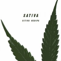 Пиво Sativa New NEDIPA