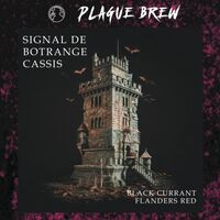 Пиво Signal De Botrange Cassis