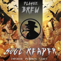 Пиво Soul Reaper