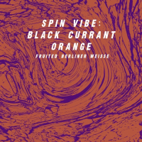 Пиво Spin Vibe: Black Currant Orange