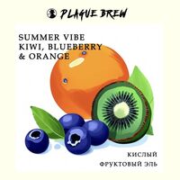 Пиво Summer Vibe: Kiwi, Blueberry & Orange