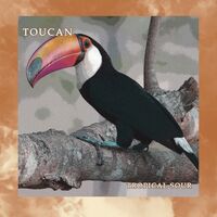 Пиво Toucan