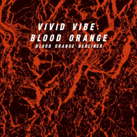 Пиво Vivid Vibe: Blood Orange Пиво Vivid Vibe: Blood Orange