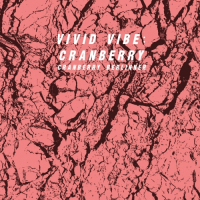 Пиво Vivid Vibe: Cranberry