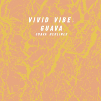 Пиво Vivid Vibe: Guava Пиво Vivid Vibe: Guava