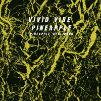 Пиво Vivid Vibe: Pineapple Пиво Vivid Vibe: Pineapple