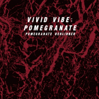 Пиво Vivid Vibe: Pomegranate